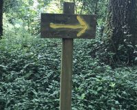 St. James walk. The three reasons to walk this route